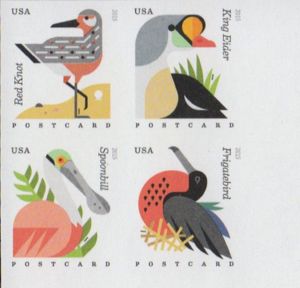 Coastal Birds