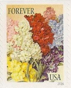 Botanical Art - Stocks