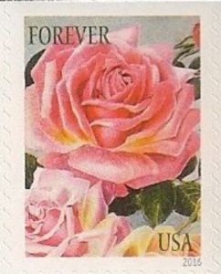 Botanical Art - Roses