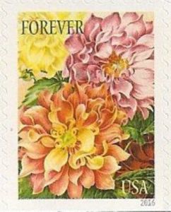 Botanical Art - Dahlias