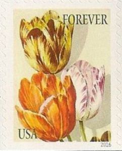 Botanical Art - Tulips