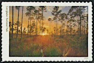 Everglades National Park
