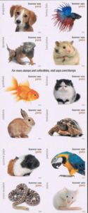 Pets