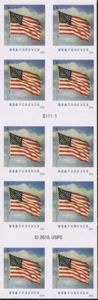U.S.A. Flag