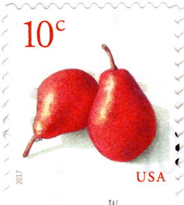 Pears