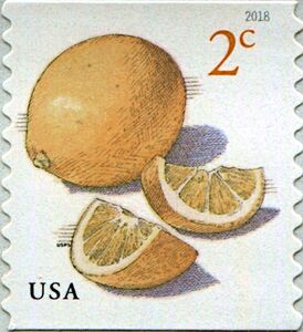 Fruit Definitive Series : Meyer Lemons