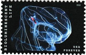 Bioluminescent Life: Deep-sea Comb Jellyfish