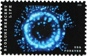 Bioluminescent Life: Midwater Jellyfish
