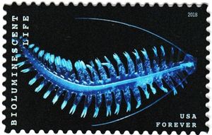 Bioluminescent Life: Marine Worm