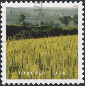 Waves of Grain - Montana
