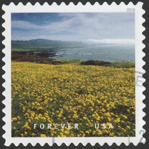 The Fruited Plain - Pigeon Point Pescadero,CA