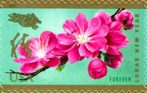 Year of The Pig 2019 with peach flower