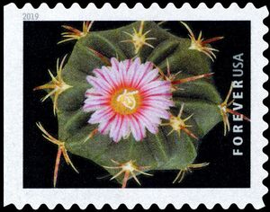 Thelocactus heterochromus