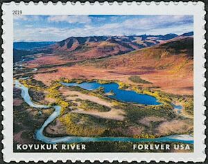 Koyukuk River