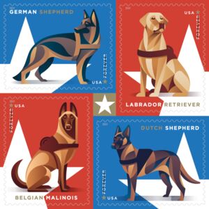 Working Dogs (Canis lupus familiaris)