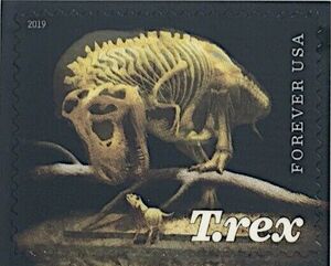 Tyrannosaurus Rex and Triceratops Skeletons