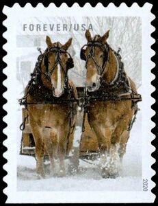 Horses Pulling Sleigh