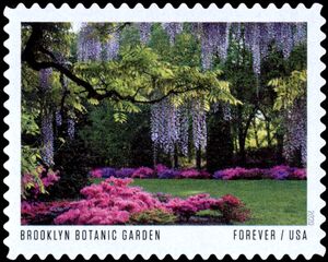Brooklyn Botanic Garden, Brooklyn New York