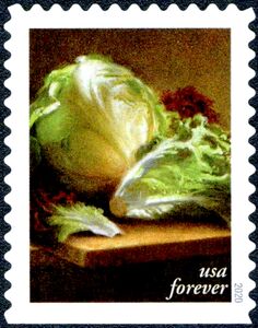 Lettuce