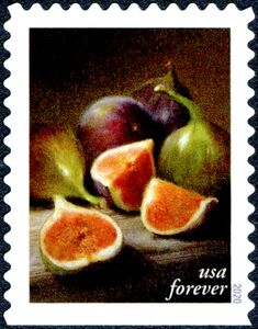 Figs