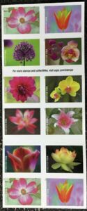 Garden Flowers booklet