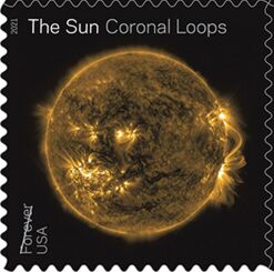 Coronal Loops
