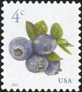 Blueberries (Sheet Stamp)