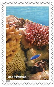 Corals and Fish, Rose Atoll Nat Mar Sanct of American Samoa