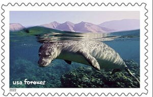Hawaiian Monk Seal, Hawaiian Is. Humpback Whale Marine Sanct