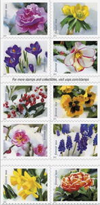 Snowy Beauty - Booklet Pane