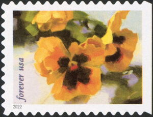 Pansies