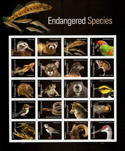Endangered Species
