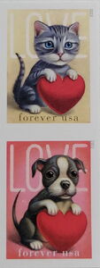 Love : Kitten & Puppy