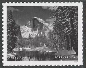 Ansel Adams, Photographer