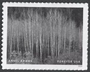 Ansel Adams, Photographer
