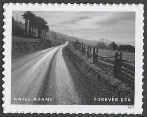 Ansel Adams, Photographer