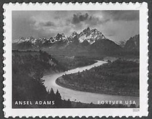 Ansel Adams, Photographer