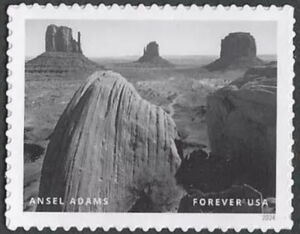 Ansel Adams, Photographer