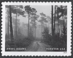 Ansel Adams, Photographer