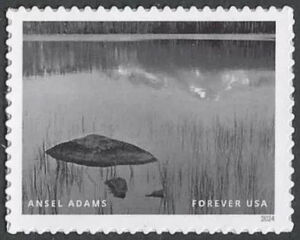 Ansel Adams, Photographer