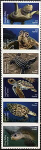 Protect Sea Turtles