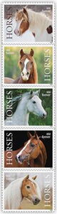 The Horse
