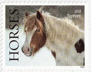 White Horse with Brown Spots