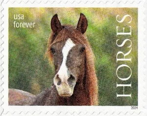 Brown Horse facing forward