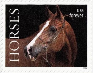 Brown Horse facing left