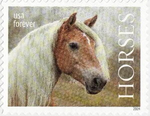 Horse with white mane