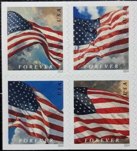 Flag of USA (AP Booklet)