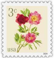 Peonies