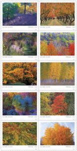 Autumn Colors