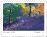 Autumn Colors
